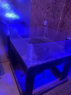 IMG_6109.jpeg