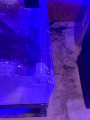 IMG_6112.jpeg