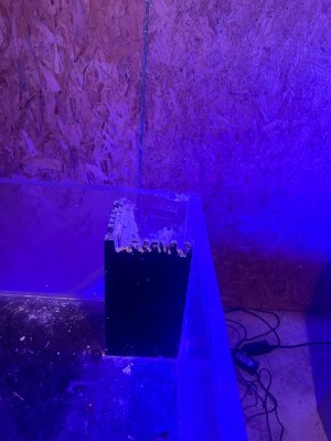 IMG_6110.jpeg