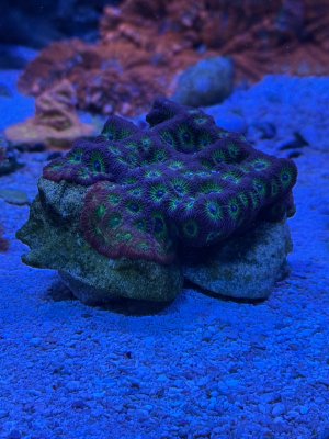 IMG_5422.jpeg