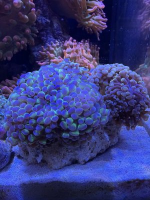 IMG_8925.jpeg
