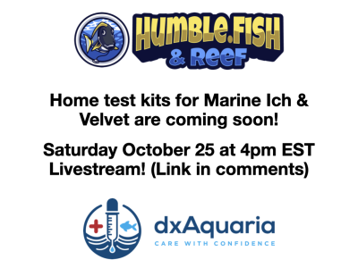 dxAquaria2.001.png dxAquaria2.001.png