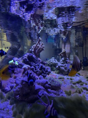 IMG_3250.jpeg IMG_3250.jpeg