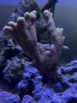 IMG_3218.jpeg IMG_3218.jpeg