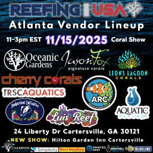 Nashville Vendors.png.png