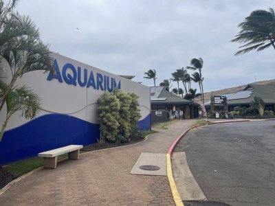 IMG_9167.jpeg IMG_9167.jpeg