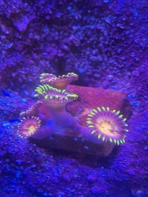 20251024_181932.jpg 20251024_181932.jpg