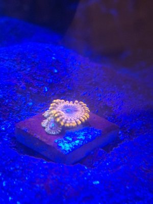 20251024_182004.jpg 20251024_182004.jpg