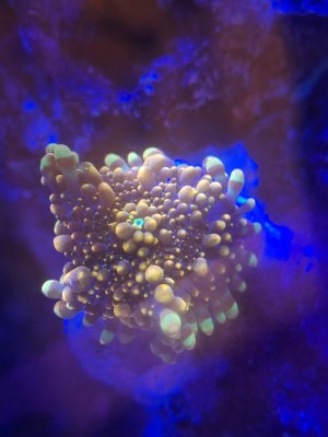 20251024_181955.jpg 20251024_181955.jpg