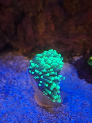 20251025_205438.jpg 20251025_205438.jpg