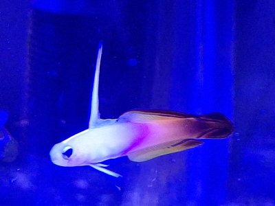 20251028_122657.jpg 20251028_122657.jpg