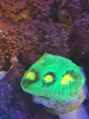 20251025_205454.jpg 20251025_205454.jpg