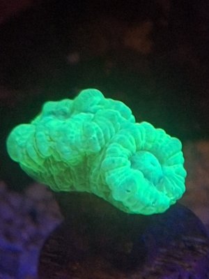 20251025_205523.jpg 20251025_205523.jpg