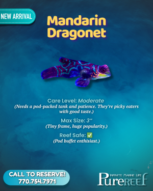 PR Fish Profile.zip - 2.png