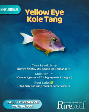 PR Fish Profile.zip - 6.png