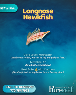 PR Fish Profile.zip - 7.png