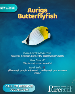 PR Fish Profile.zip - 5.png