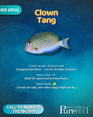 PR Fish Profile.zip - 10.png