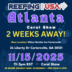 Copy of Chicago 2 Weeks.png