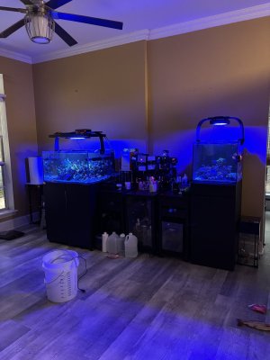 IMG_5679.jpeg IMG_5679.jpeg