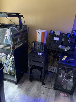 IMG_5686.jpeg IMG_5686.jpeg