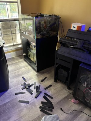 IMG_5685.jpeg IMG_5685.jpeg