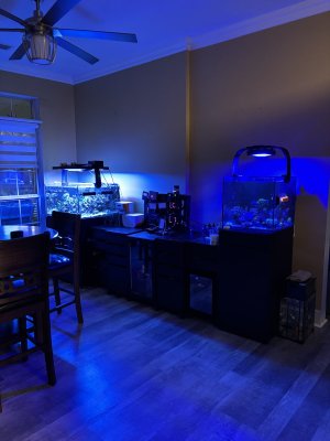 IMG_5697.jpeg IMG_5697.jpeg