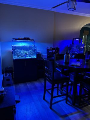 IMG_5696.jpeg IMG_5696.jpeg