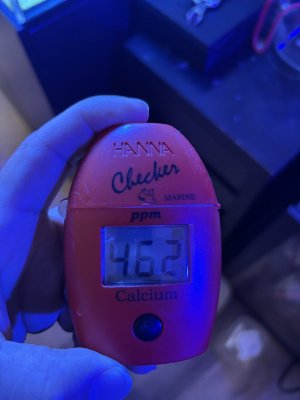 IMG_5639.jpeg IMG_5639.jpeg