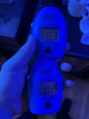 IMG_5640.jpeg IMG_5640.jpeg