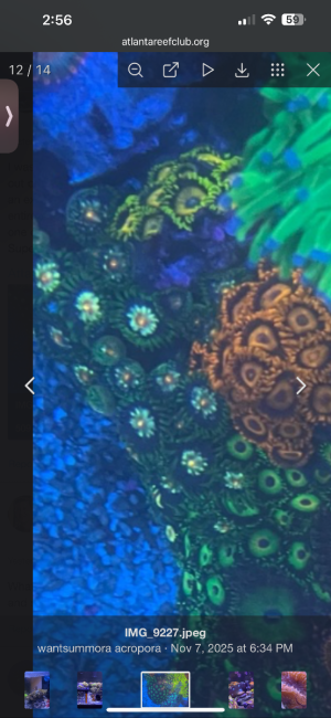 IMG_6132.png IMG_6132.png