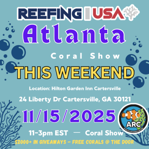 Atlanta This Weekend.png