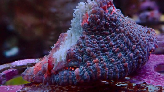 PB072002.jpeg PB072002.jpeg