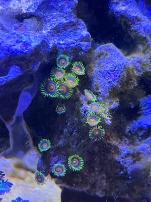 IMG_6163.jpeg IMG_6163.jpeg