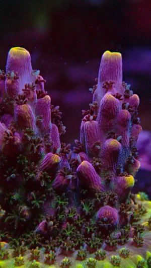 PB142052.jpeg PB142052.jpeg