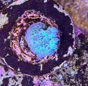 IMG_0160.jpeg IMG_0160.jpeg