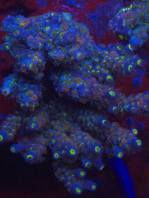 20251028_182346.jpg 20251028_182346.jpg