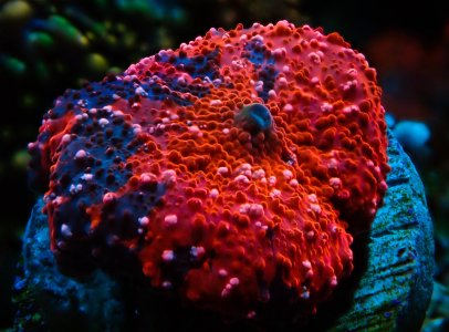 PB152068.jpeg PB152068.jpeg