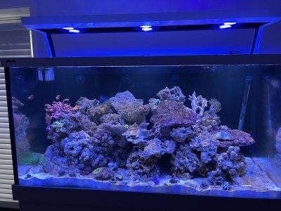 IMG_8293.jpeg IMG_8293.jpeg