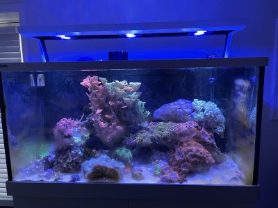 IMG_8277.jpeg IMG_8277.jpeg