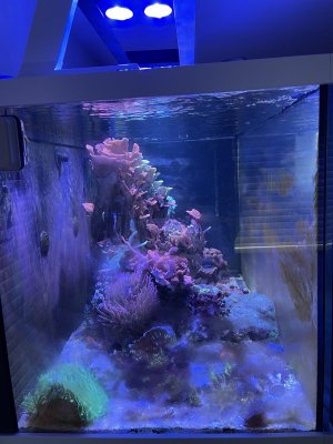 IMG_8278.jpeg IMG_8278.jpeg