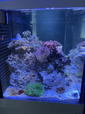 IMG_8294.jpeg IMG_8294.jpeg