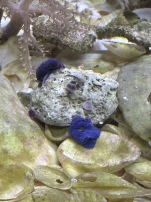 IMG_5798.jpeg IMG_5798.jpeg