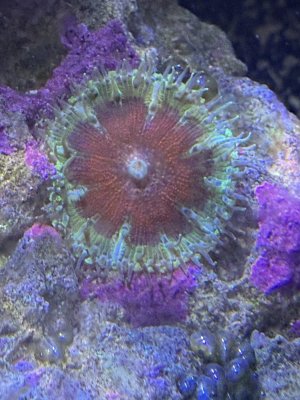 IMG_9823.jpeg IMG_9823.jpeg