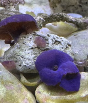 IMG_5819.jpeg IMG_5819.jpeg