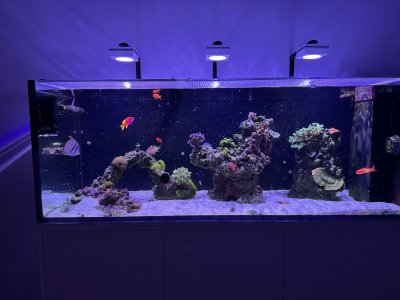 IMG_5338.jpeg IMG_5338.jpeg