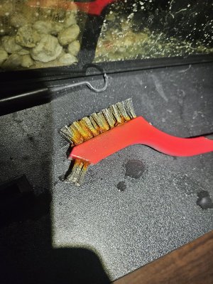 1000005817.jpg 1000005817.jpg