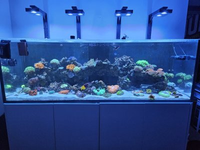 1000005813.jpg 1000005813.jpg