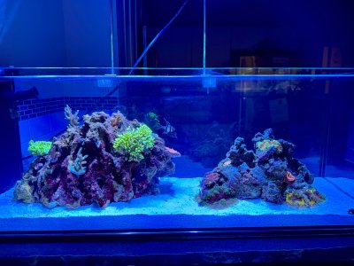 IMG_2143.jpeg IMG_2143.jpeg