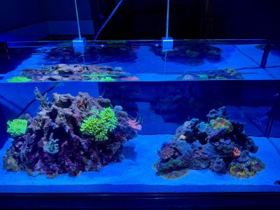 IMG_2144.jpeg IMG_2144.jpeg